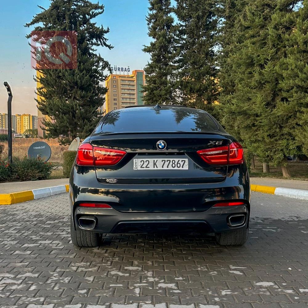 BMW X6